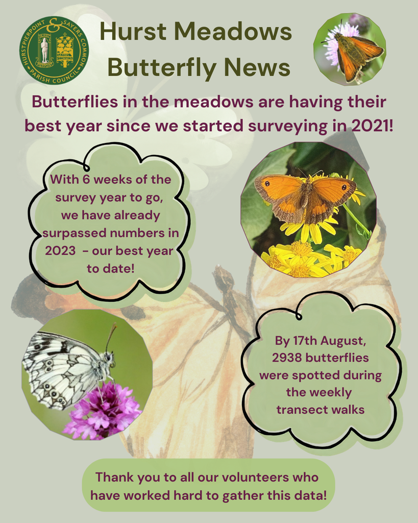 Poster with butterfly images and circular Parish Council Logo
Header: Hurst Meadows Butterfly News
Text Body: With 6 weeks of the survey year to go,
we have already surpassed numbers in 2023 - our best year
to date!
By 17th August, 2938 butterflies were spotted during the weekly
transect walks
Thank you to all our volunteers who
have worked hard to gather this data!
