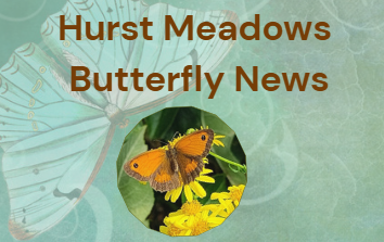 Record Breaking Year for Hurst Meadows Butterflies!