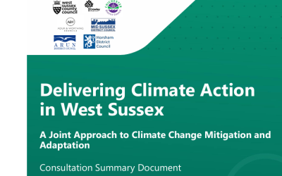 West Sussex County Council Climate Change Consultation