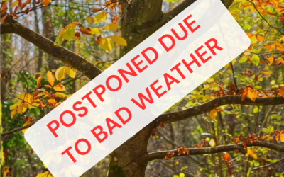 **CANCELLED/POSTPONED** Tree Walk –  Saturday 24th October at 10am